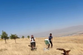 Kızıl Şahinler özgürlüğe uçtu