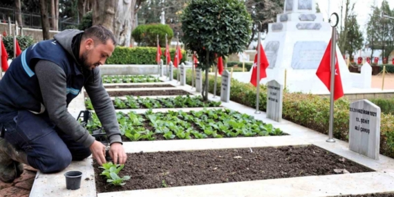 Kocaeli’de şehitliklerde bakım ve çiçeklendirme çalışması