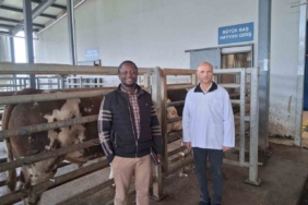 Kocaeli’deki mezbaha tesisi İslam ülkelerine örnek gösterildi