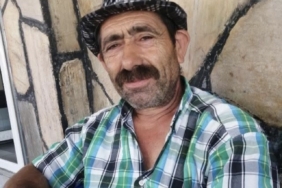 Komşusuna ağaç kesiminde yardım ederken hayatını kaybetti