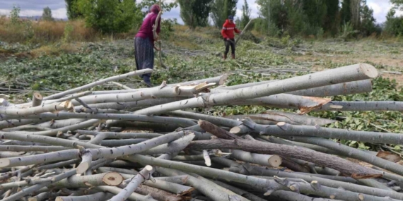 Kömür pahalı, odun umut: Erzincan kırsalında kış mesaisi