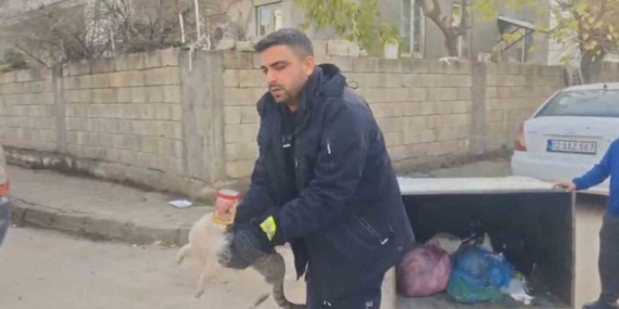 Konserve kutusuna sıkışan kedi kurtarıldı