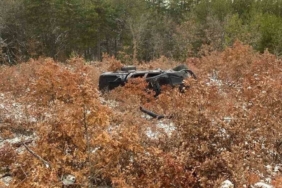 Kontrolden çıkan otomobil karşı şeride geçti: 4 yaralı