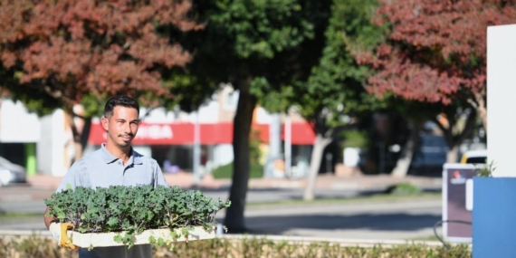 Konyaaltı’nda mevsimlik çiçek ekimi