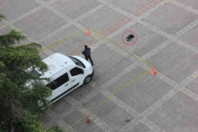 Köpekten örnek davranış: Polis şeridini ihlal etmedi