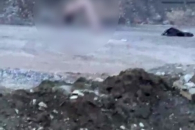 Köprü altında akıllara durgunluk veren görüntüler