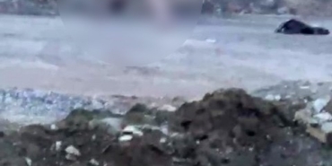 Köprü altında akıllara durgunluk veren görüntüler