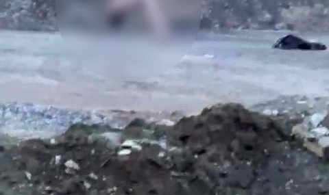 Köprü altında akıllara durgunluk veren görüntüler