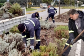 Körfez’de yeşil alanlar çiçeklerle süsleniyor
