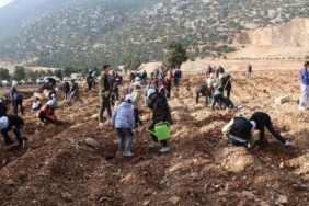 Korkuteli’nde 3 bin fidan toprakla buluştu