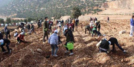 Korkuteli’nde 3 bin fidan toprakla buluştu