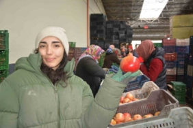 Korkuteli’nden nar ihracatı başladı