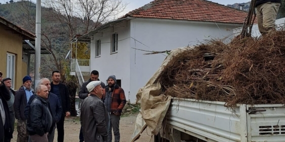 Köşk’te köklü kestane fidanları üreticilere dağıtıldı