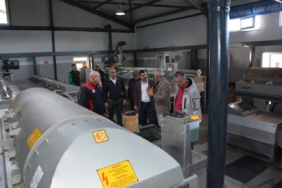 Köyceğiz Kaymakamı Kumcu, zeytinyağı fabrikasında inceleme yaptı