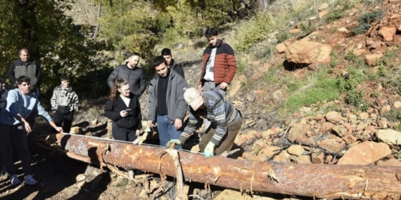Köyceğiz’de Ormancılık Yüksek Okulu öğrencileri saha uygulamalarına katıldı