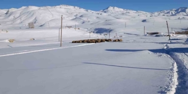 Koyunları için dondurucu soğukta yaylada kaldılar