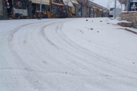 Kulp’ta kar nedeniyle yaşam durma noktasına geldi