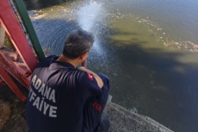 Kuraklık balıkları vurdu