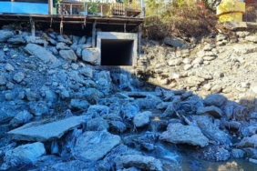 Kuraklık nedeniyle Seyhan Nehri’ne su verilmeyince atık su gerçeği ortaya çıktı