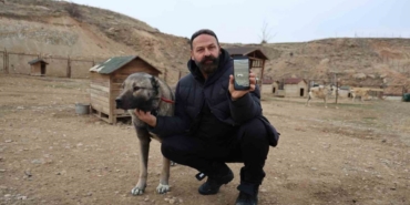 Kurtlar yerleşim yerlerine dadandı, uzmanı çare olarak Kangalları gösterdi