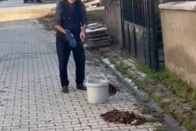 Kütahya’da yaşlı adamdan çevreye örnek temizlik dersi