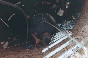 Kuyuya düşen keçiyi itfaiye kurtardı