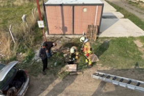 Kuyuya düşen koyunu itfaiye kurtardı