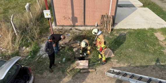 Kuyuya düşen koyunu itfaiye kurtardı