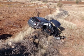 Mardin’de devrilen aracın sürücüsü yaralandı