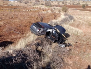 Mardin’de devrilen aracın sürücüsü yaralandı