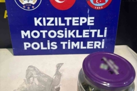 Mardin’de durdurulan araçta esrar ele geçirildi