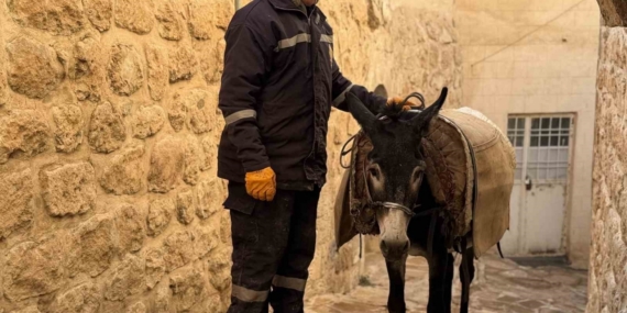 Mardin’de ’kadrolu’ eşekleri emekli edecek proje hayata geçiyor