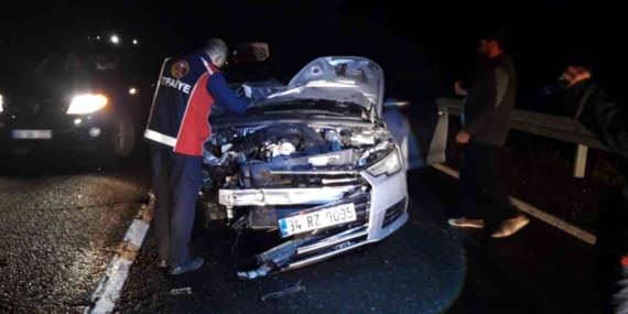 Mardin’de otomobilin çarptığı at telef oldu