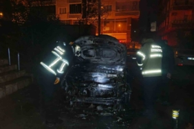 Mardin’de park halindeki otomobilde çıkan yangın söndürüldü