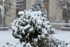 Mazıdağı’nda yoğun kar yağışı ve tipi etkili oluyor