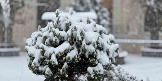 Mazıdağı’nda yoğun kar yağışı ve tipi etkili oluyor