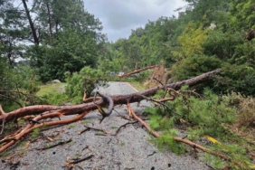 Menteşe Akbük’te şiddetli yağış ve rüzgar etkili oldu