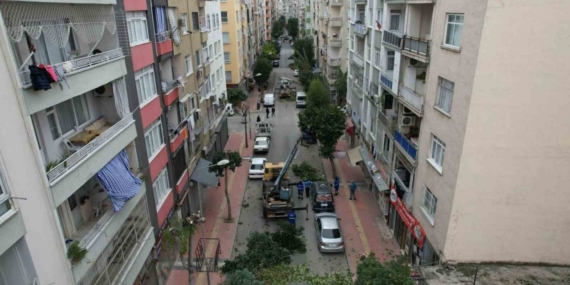 Mersin’de ağaçlara kış bakımı
