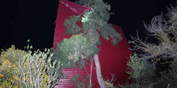 Mersin’de şiddetli rüzgar çatıyı uçurdu, asırlık meşeyi devirdi