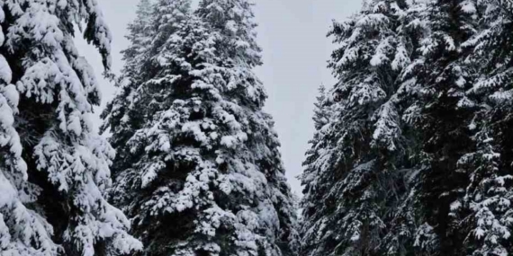 Meteorolojinin uyardığı Çankırı’da kar yağışı etkili oldu