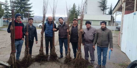 "Meyveciliği Geliştirme" projesi Pazaryeri’nde hayata geçti