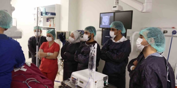 Mısırlı doktorlar tecrübe için Türk doktorlarını seçti