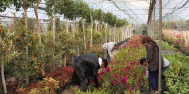 Muğla Büyükşehir’den yerel kalkınmaya katkı