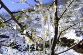 Muğla’da hava sıcaklığı -3’lere düşüyor