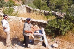 Muğla’da kovan barınakları tekrar ayağa kaldırılıyor