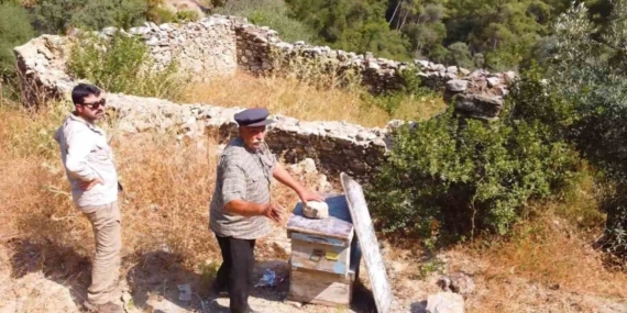 Muğla’da kovan barınakları tekrar ayağa kaldırılıyor