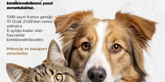 Niğde Belediyesi’nden kedi ve köpek sahiplerine uyarı: Son başvuru 31 Aralık 2025