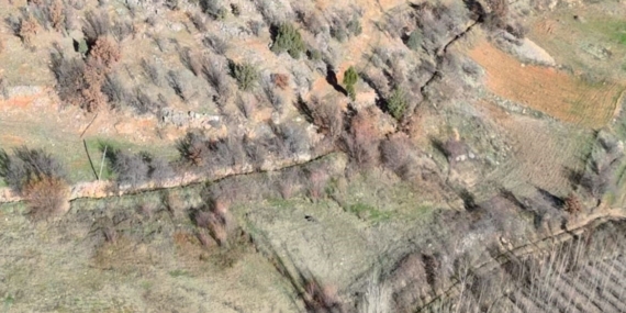 Nurhak’ta yaban domuzu avı yapıldı