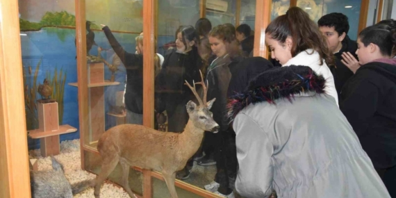 Öğrenciler hayvan müzesini ilgi ile gezdi