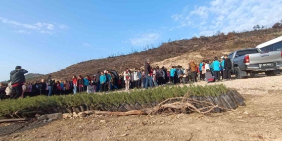 Öğrenciler, orman yangınında zarar gören alana fidan dikti